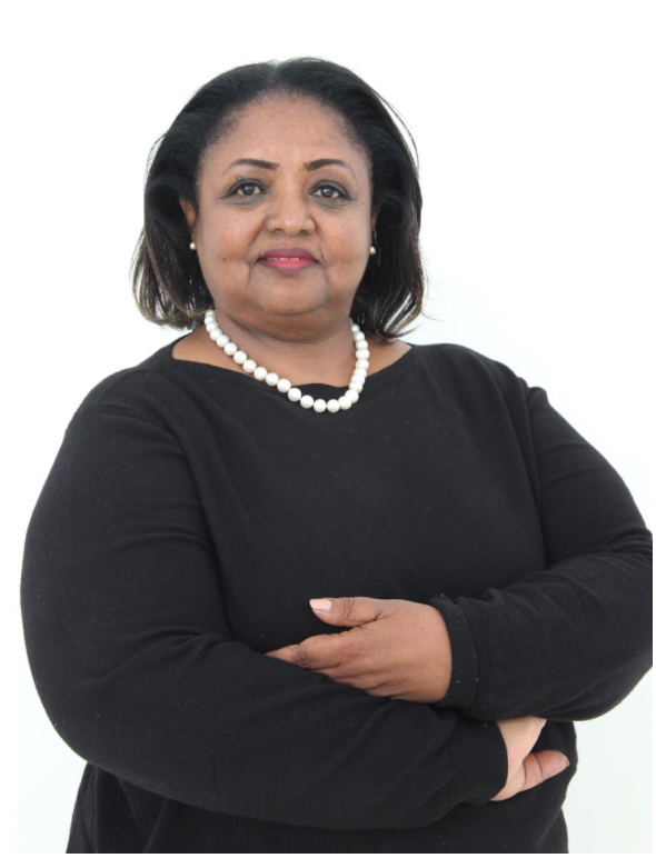 Yenenesh B. Tekelmariam